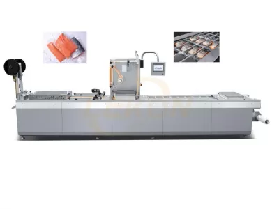 Thermoforming Packaging Machine-Rollstock