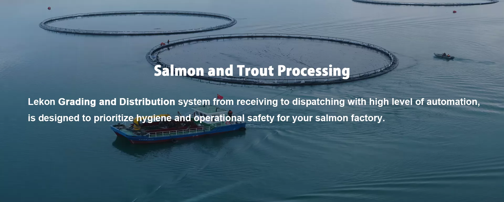 lekon salmon processing solutions