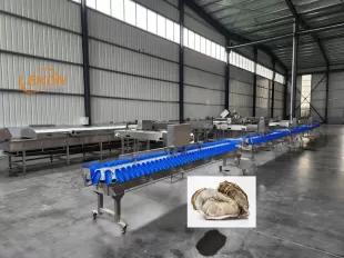 Oyster Grader